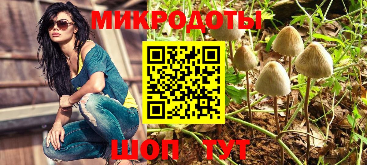 Видное  Галлюциногенные грибы прущие грибы  Вход с VPN 